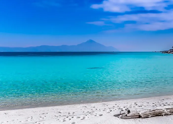 House Michalis 公寓式酒店 萨尔蒂