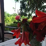 Aparthotel House Michalis 3*